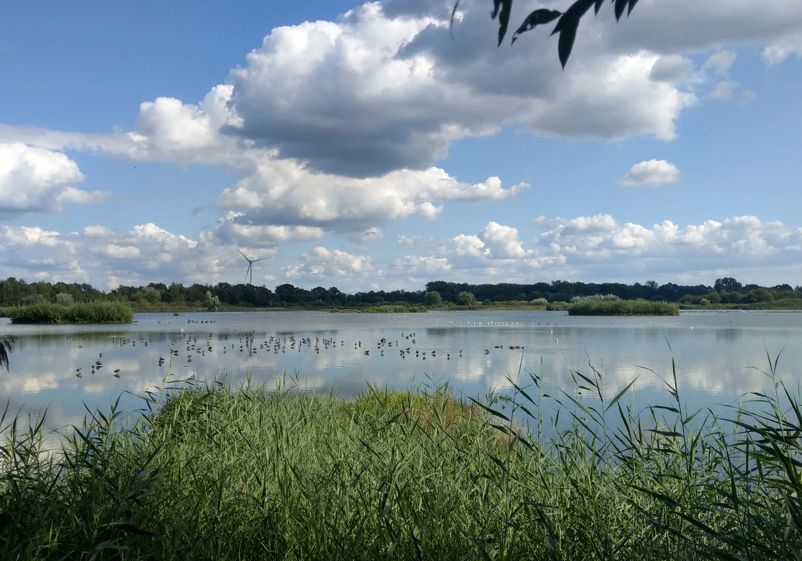 Rieselfelder Muenster